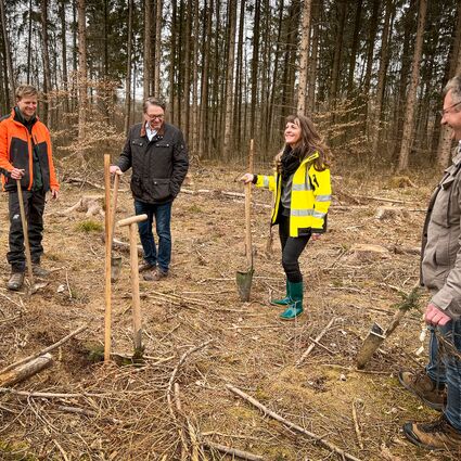 Baumpflanzung mit vier Männern und der Bürgermeisterin